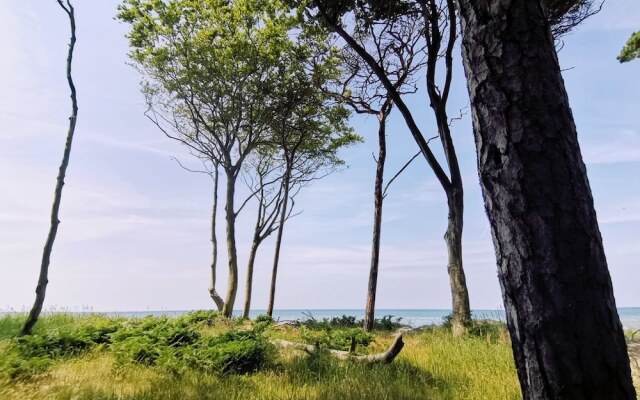 Schlösschen Sundische Wiese