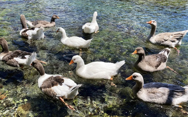 Portofino Boutique Hotel