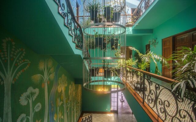 Dendrobium House