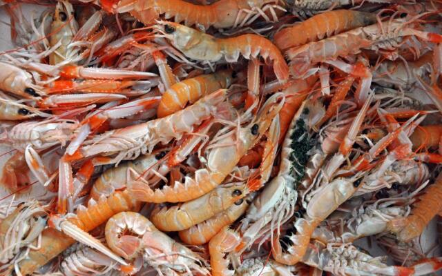 Studio apartment Miramare