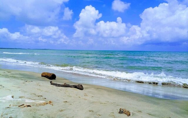 Tambo Marina Ecohostal - Hostel