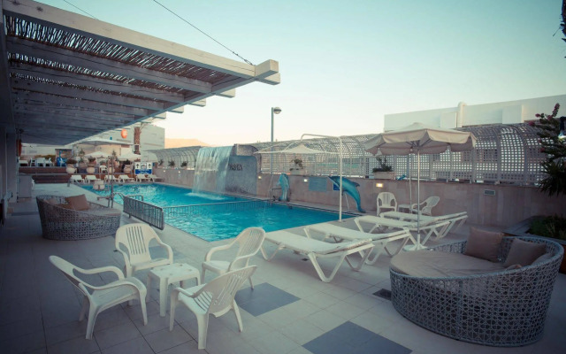 Brown Eilat