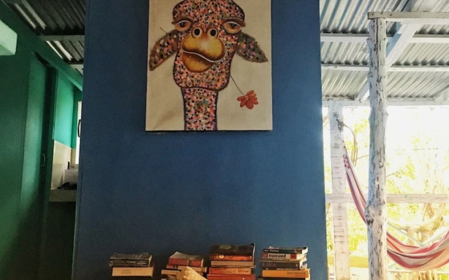 Twin Fin Hostels
