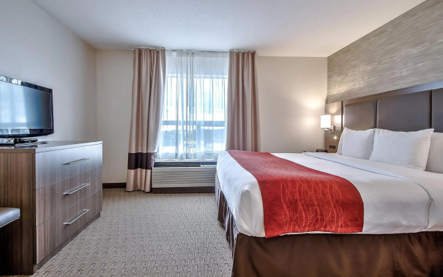 Comfort Inn And Suites South