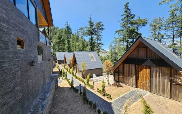 BlackPearl Cottages - Kufri
