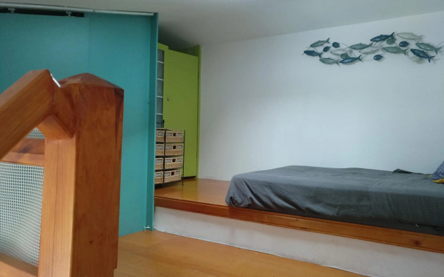 Escapada a l'Estartit - Argonavis