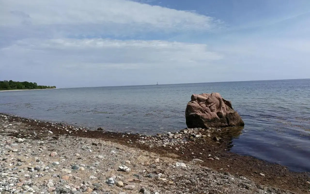 Taubennest