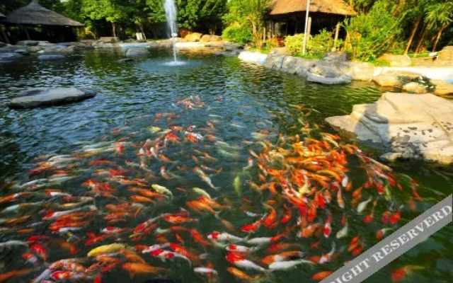 Techeng Island Resort