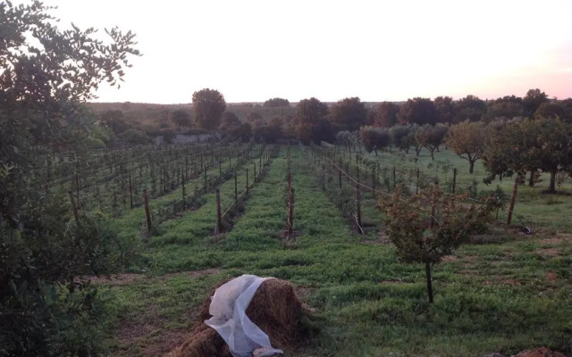 I Trulli della Natura Bio