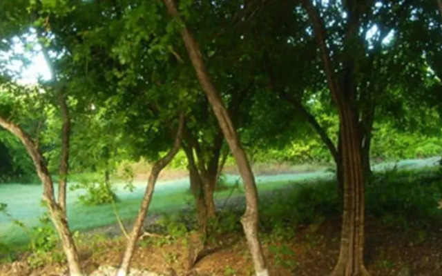 Villa Roselle