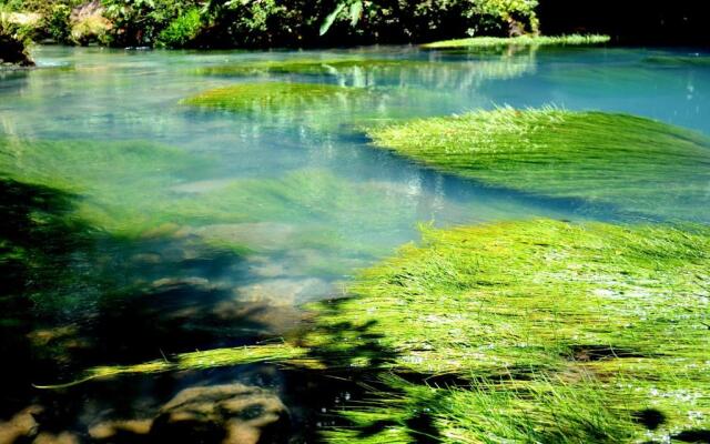 Vocaré Agroecoturismo