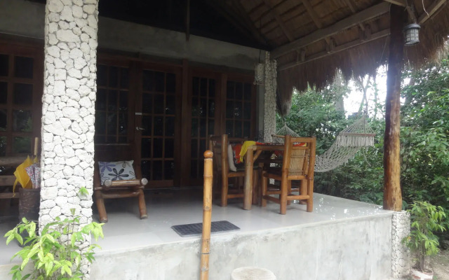 Sea Turtle House