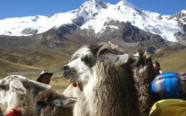 La Casa de la Abuela Backpacker