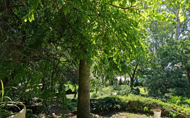 Peaches & Cream Bed & Breakfast