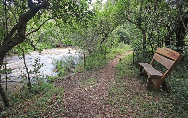 Olesamara Collection