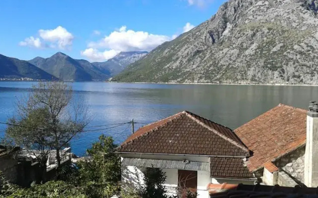 Guesthouse Živković