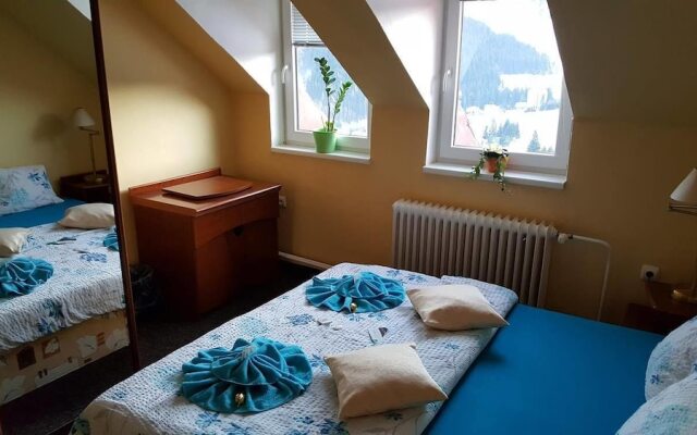 Penzion Lesní Pramen