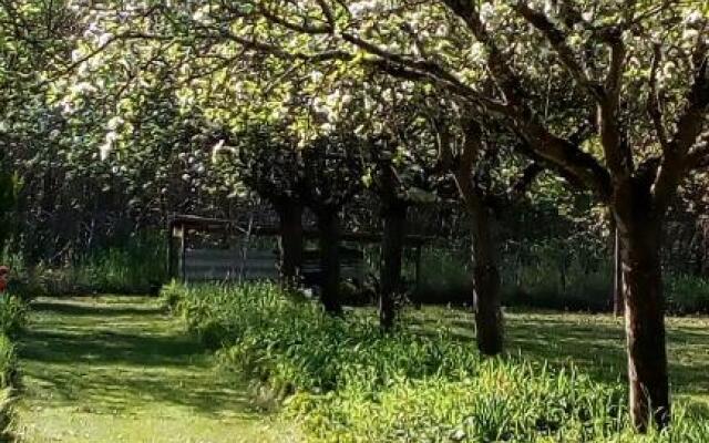 Au jardin de Grand-Père