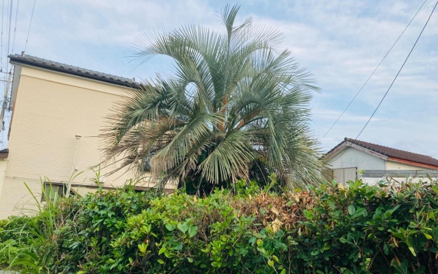 Guesthouse Nichinan - Vacation STAY 82905v – Outside – Nichinan