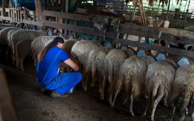 Agriturismo Pian dei Lupi