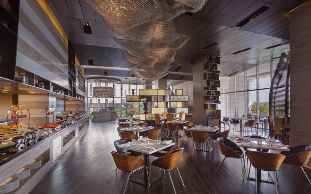 Holiday Inn New Delhi Aerocity by IHG