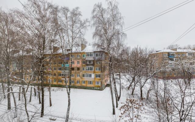 Tolstoy Apart on Odoevskoe highway