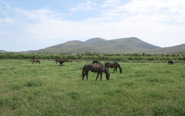 Tuscany Working Hostel