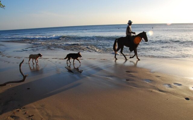 Luxury Ocean-view Flamingo Home Sleeps 10 - Walk to Beach