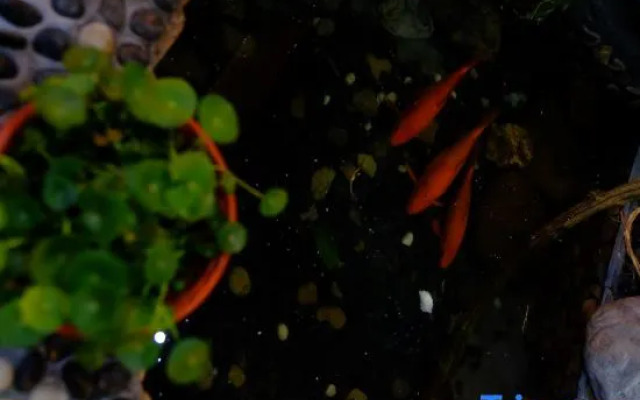 Xianju County, this evening, Hexi Inn