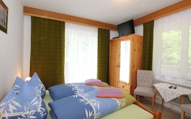 Hilltop Apartment in Aschau im Zillertal near Ski Area