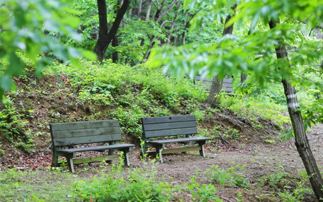 Yeongwol Nice View Pension