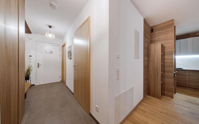 Apartment SCHLADMING - Planai view