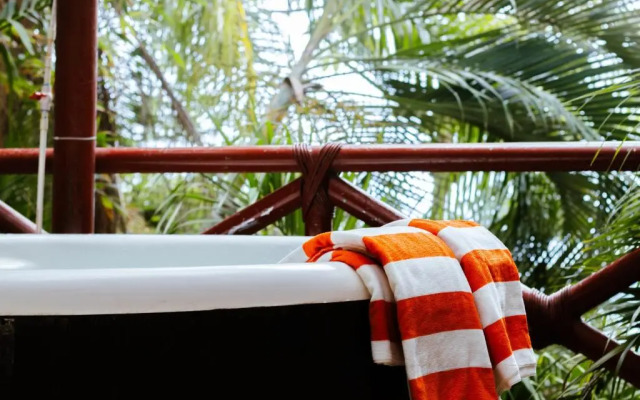 Pajaro de Fuego, Chelsea's Luxury Units