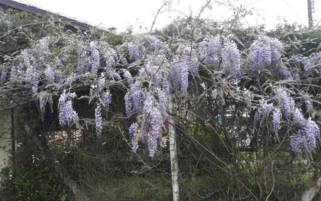 Recanto Rorato