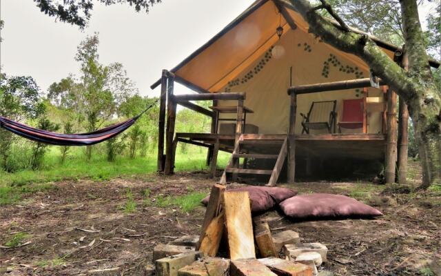 Glamping tipo safari