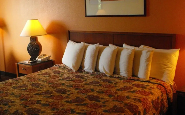 Ramada by Wyndham DFW Airport