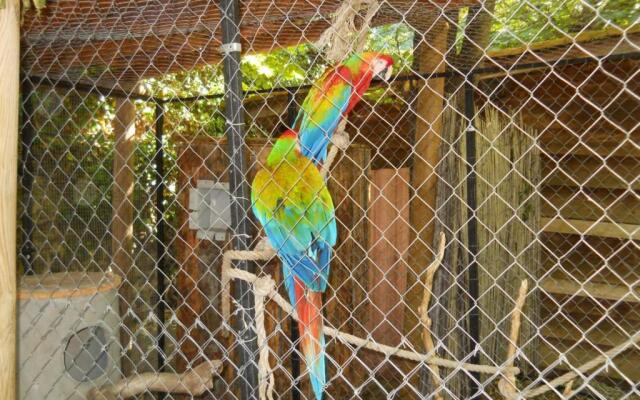 Gîte Saint-Bonnet-le-Courreau, 5 pièces, 6 personnes - FR-1-496-9