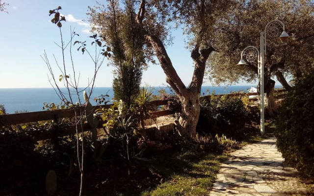 The Olives Terrace Apartments