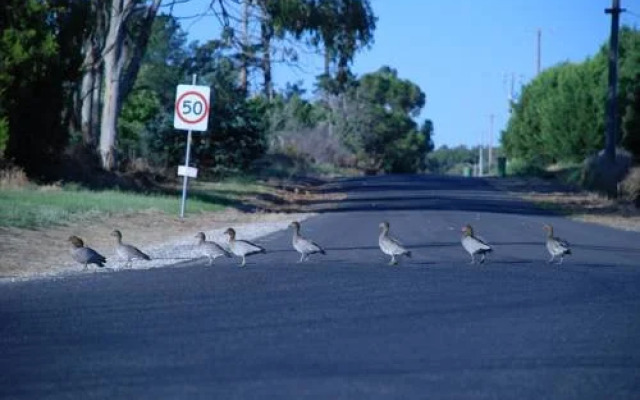Country Charm Swiss Cottages