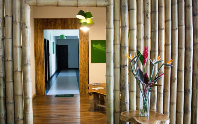 Cocoon Hotel