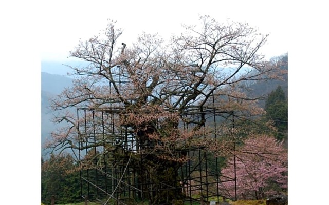 Pure Hotel - Vacation STAY 44177v