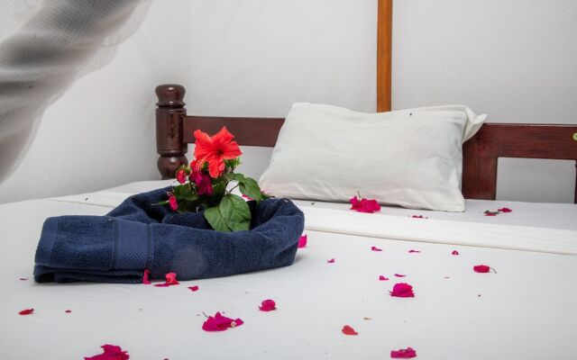 Zanzi Rest Bungalows