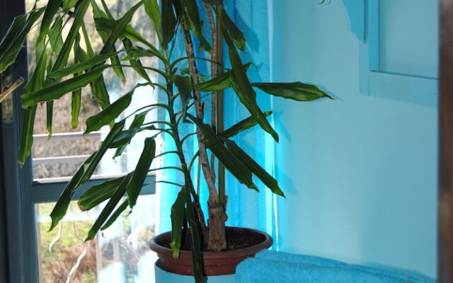 Rustico Felix Affittacamere