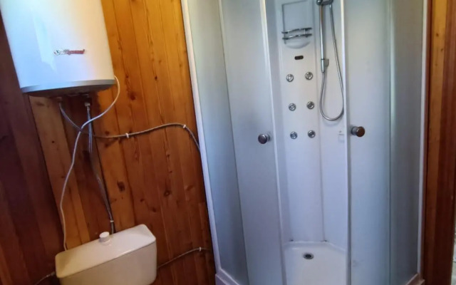 Камень Льва