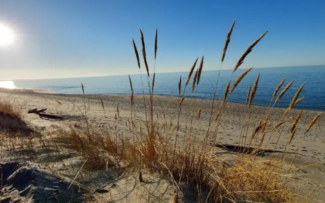 Apartament Biała Foczka