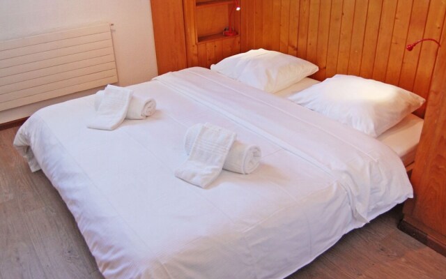 Bouleaux I4 Nendaz in Nendaz