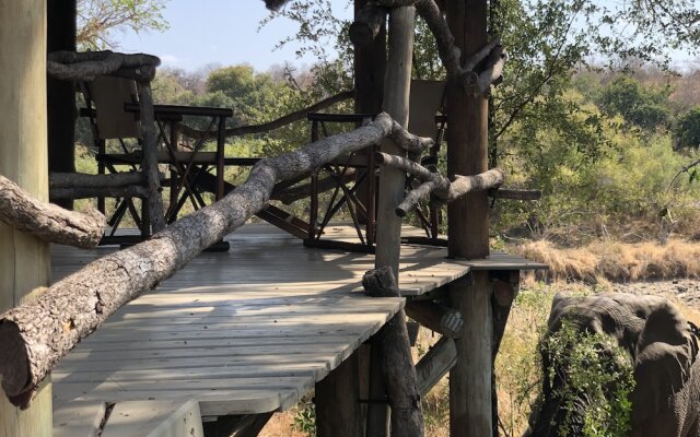 Toro River Lodges Big 5 Exclusive Safari
