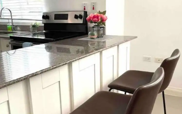 Modern 1BR Condo in Kingston