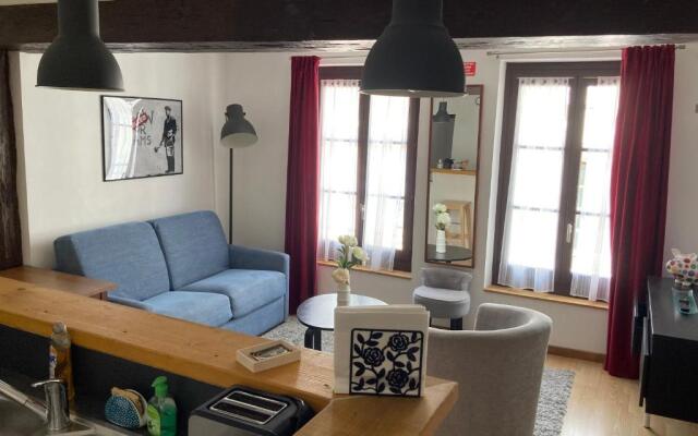 T3 duplex hyper centre ville historique troyes