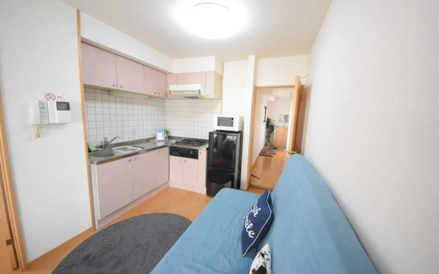 Heart Of Shinsaibashi Apartment